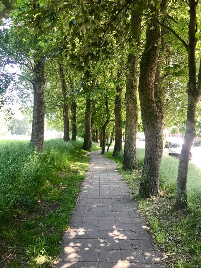 Sea And Dunes Knokke-Heist Eksteriør bilde